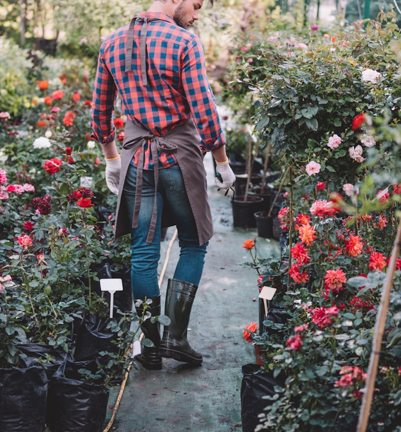 De Tuin Klaar voor het Voorjaar: Zo Doe je Dat