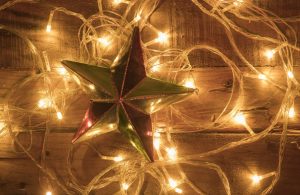 Bosrand-kerstverlichting-snoer