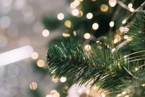 bosrand-kerstverlichting-kerstsfeerKerstsfeer