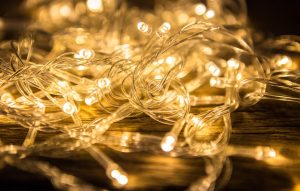 bosrand-verlichting-clusterlicht